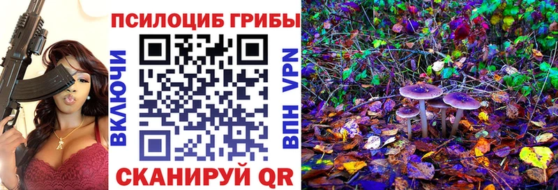 Купить  Меленки  Галлюциногенные грибы прущие грибы 